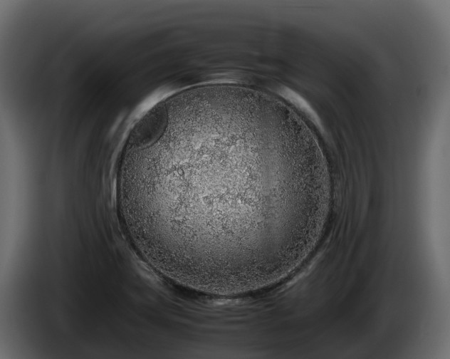 X0000085791419200703231258