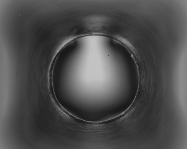 X0000085791423200703231258