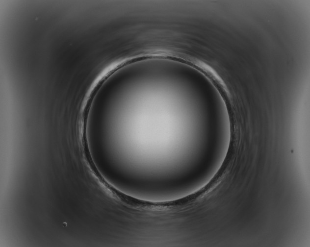 X0000085791424200703231258
