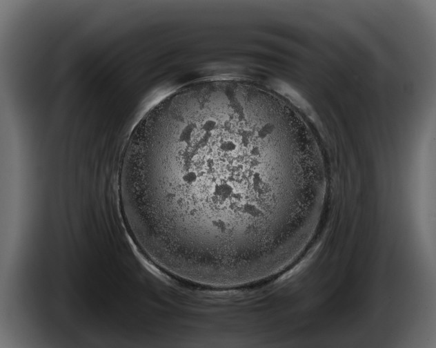 X0000085791425200703231258