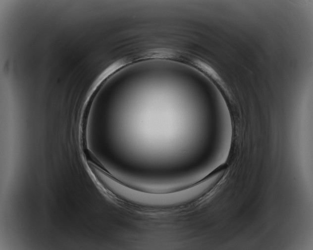 X0000085791426200703231258