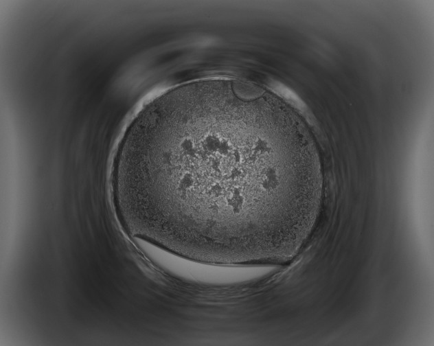X0000085791427200703231258