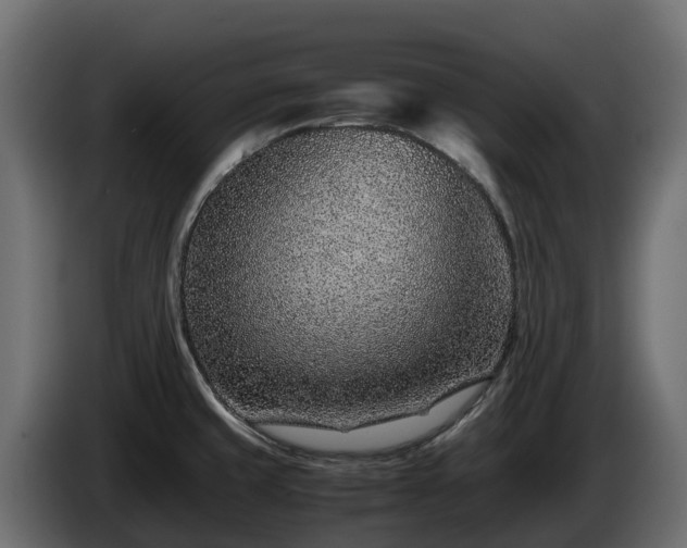 X0000085791429200703231258