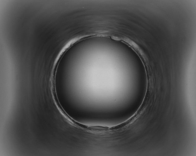 X0000085791432200703231258