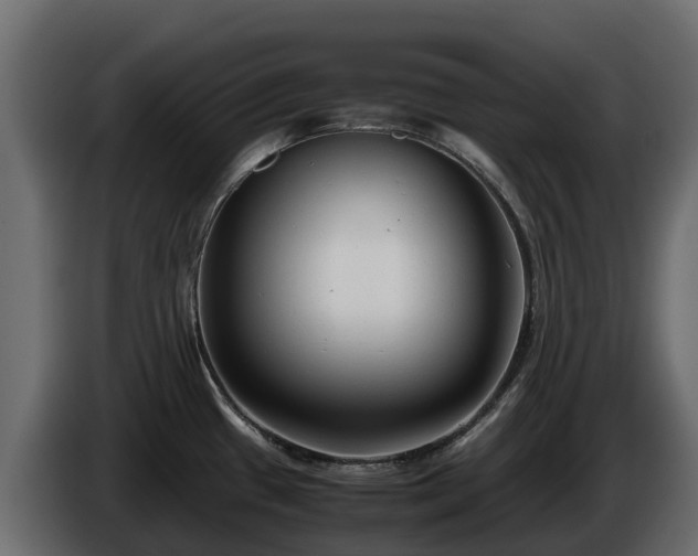 X0000085791433200703231258