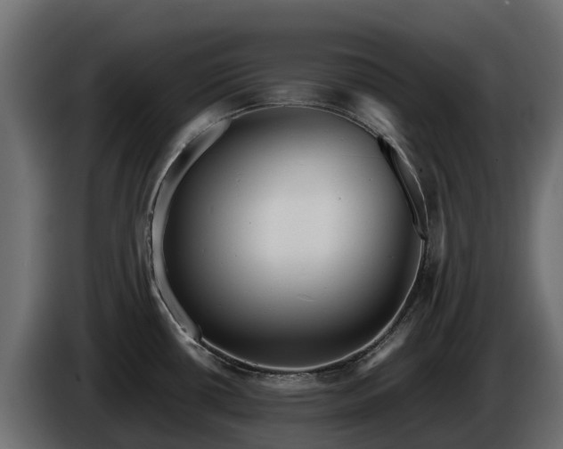 X0000085791434200703231258
