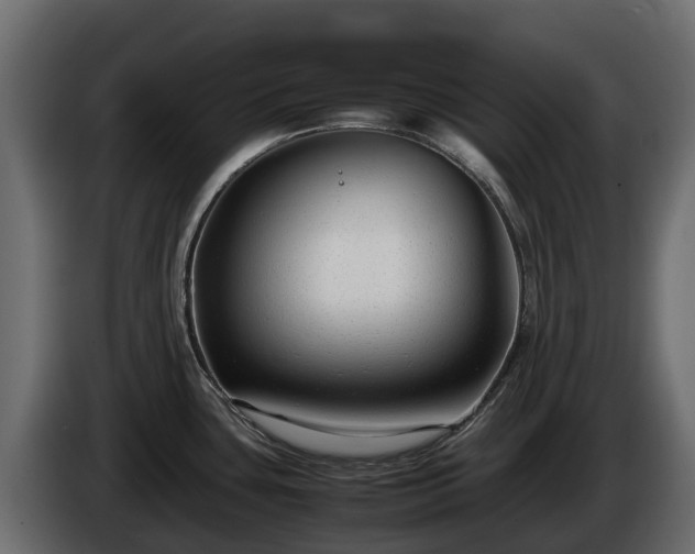 X0000085791435200703231258