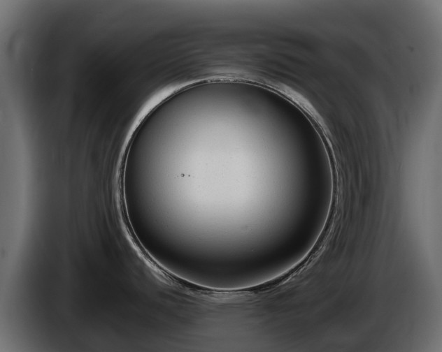 X0000085791440200703231258