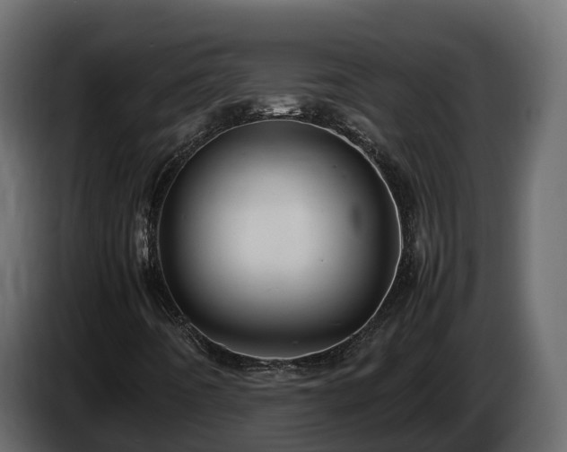 X0000085791442200703231257