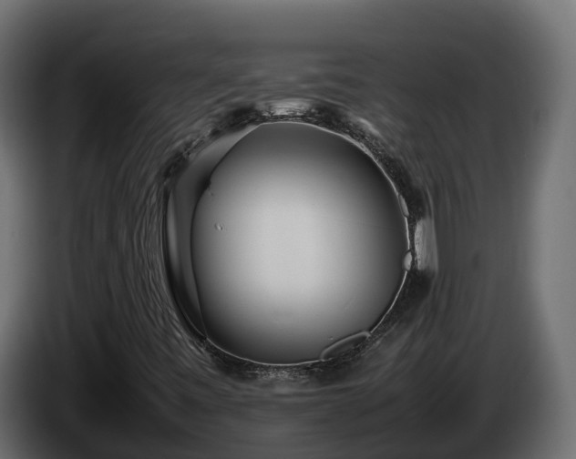 X0000085791443200703231257