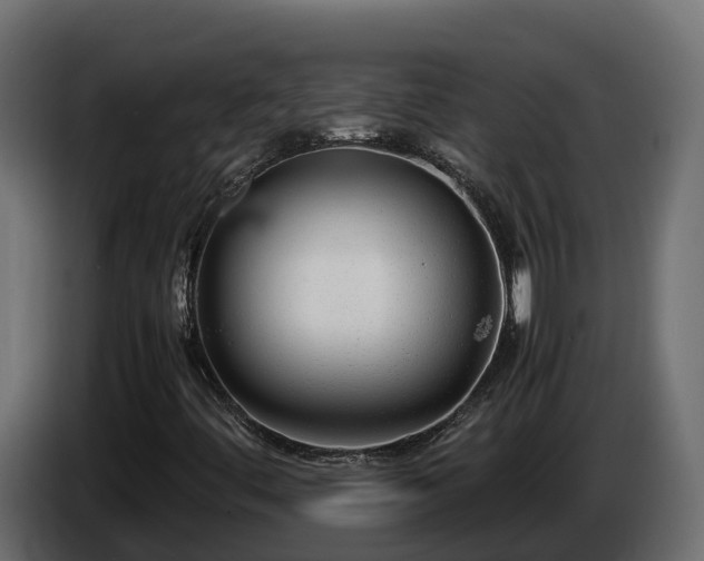 X0000085791444200703231257