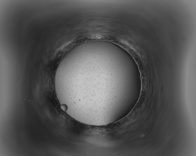 X0000085791446200703231257