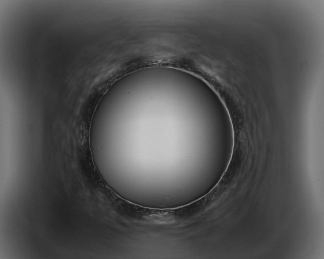 X0000085791447200703231257