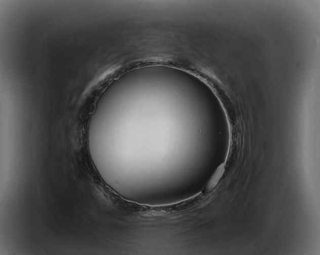 X0000085791448200703231257