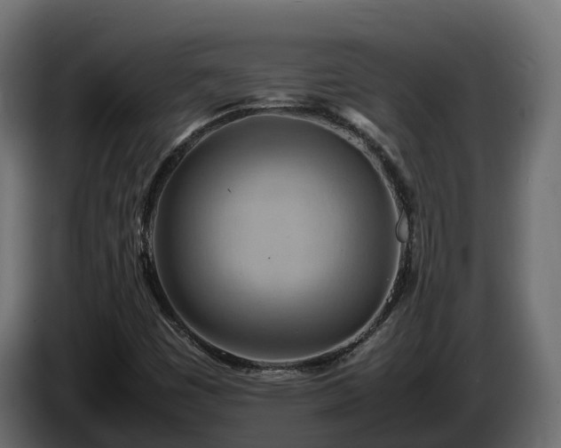 X0000085791449200703231257