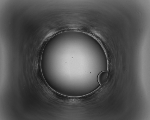 X0000085791451200703231257