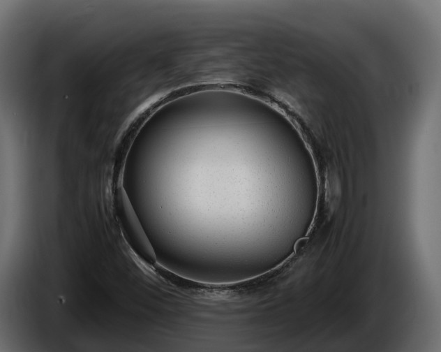 X0000085791452200703231257
