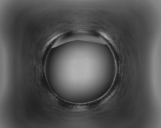 X0000085791453200703231257