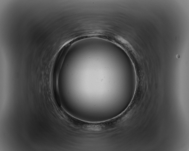 X0000085791457200703231257