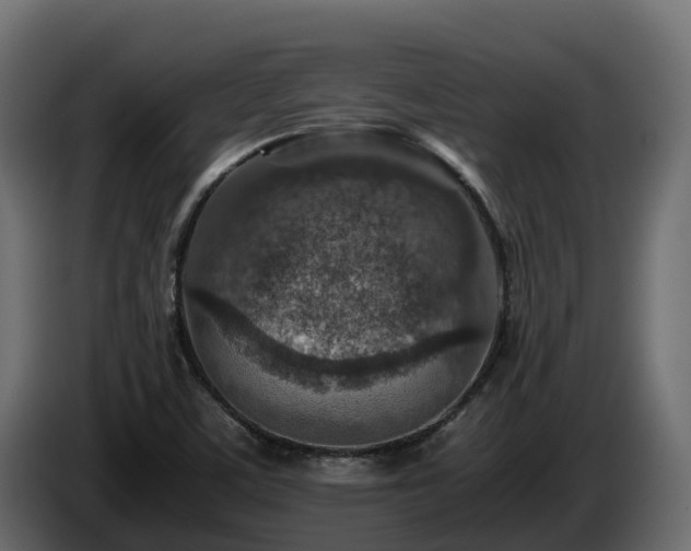 X0000085791459200703231257
