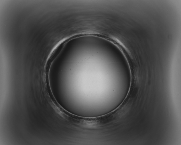 X0000085791460200703231257