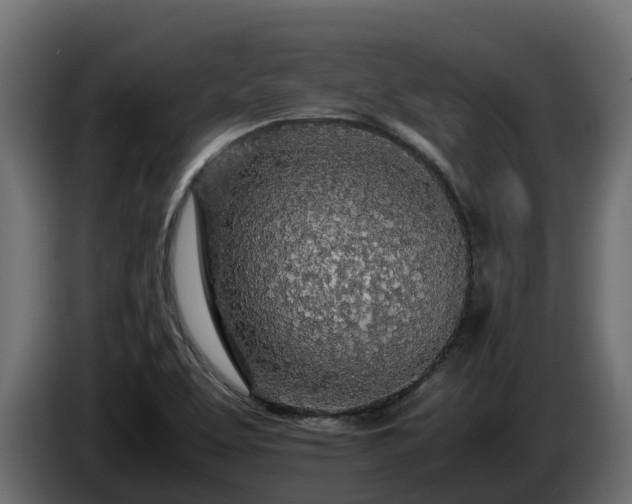 X0000085791463200703231257