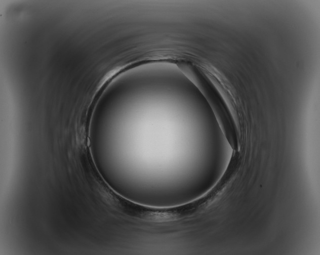 X0000085791465200703231257
