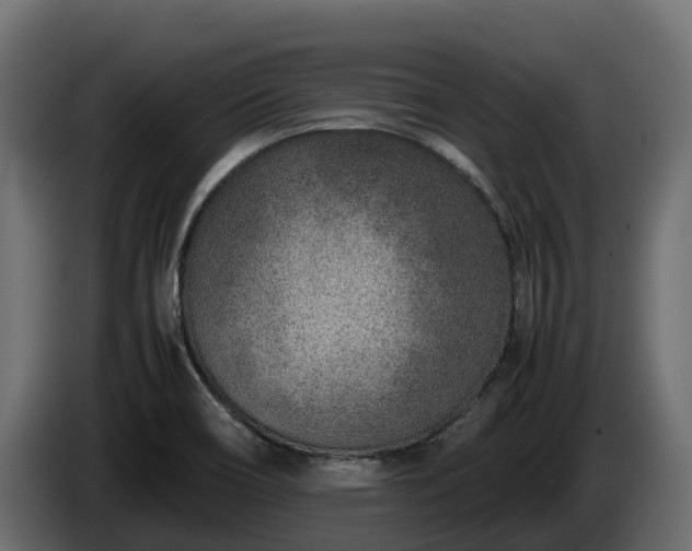 X0000085791466200703231257