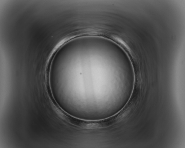 X0000085791467200703231257