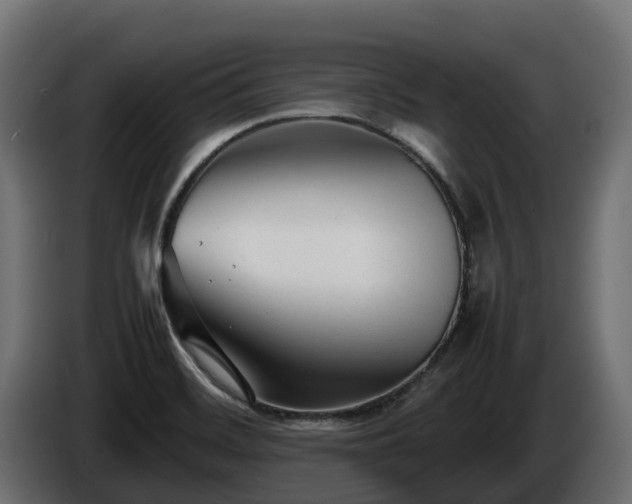 X0000085791468200703231257