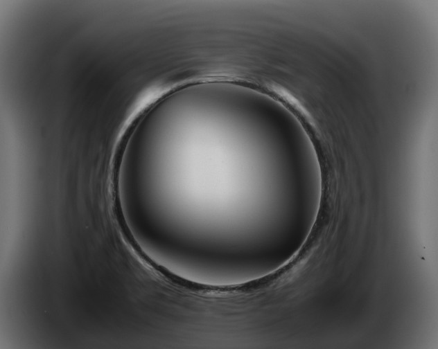 X0000085791469200703231257