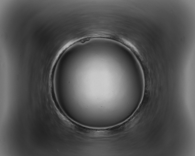 X0000085791471200703231257