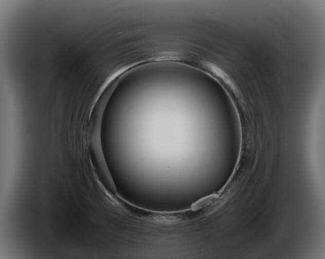 X0000085791473200703231257