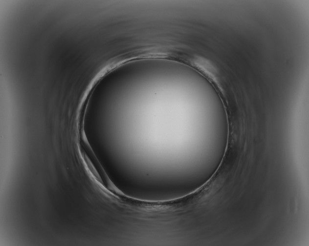 X0000085791475200703231257