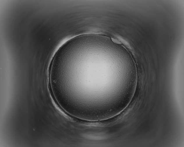 X0000085791479200703231257