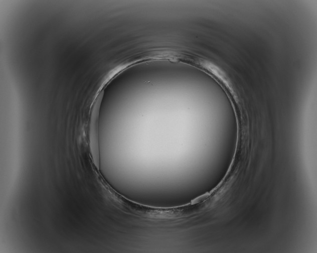 X0000085791481200703231257