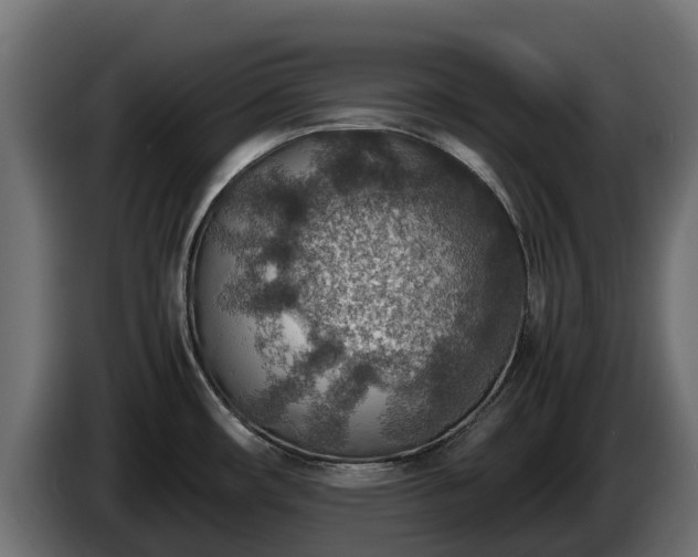 X0000085791482200703231257