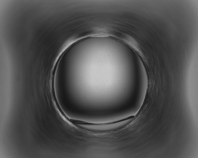 X0000085791484200703231257