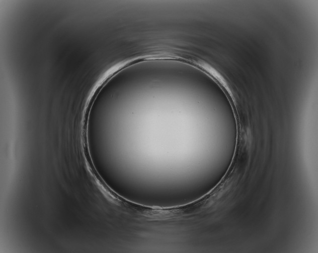X0000085791485200703231257