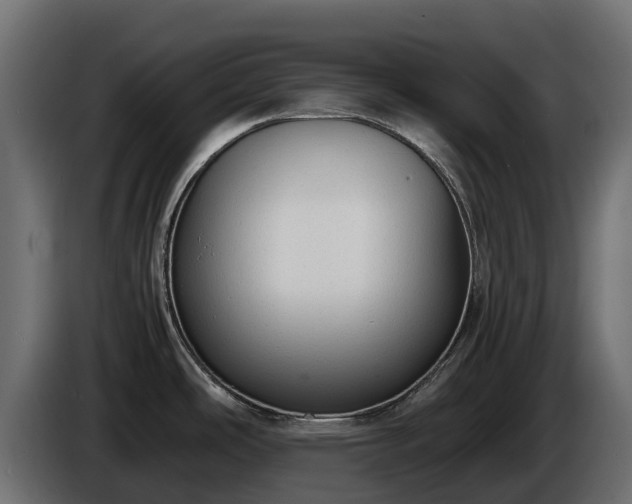 X0000085791486200703231257