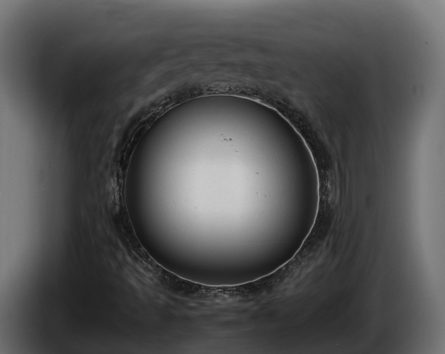 X0000085791493200703231256