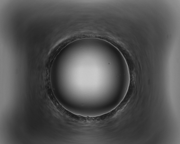 X0000085791494200703231256