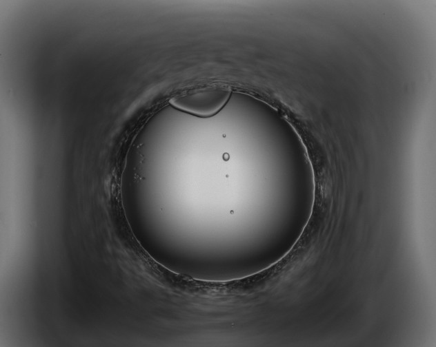 X0000085791495200703231256