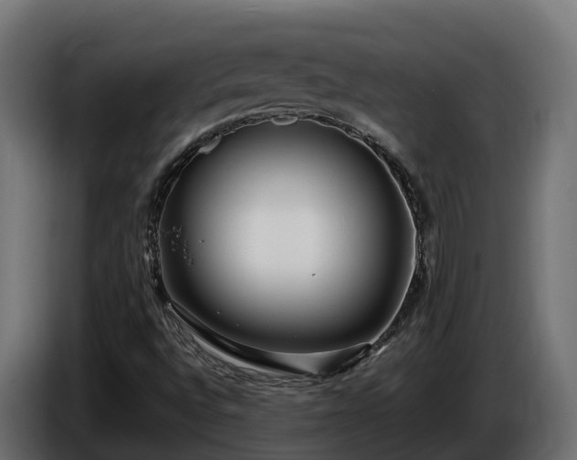 X0000085791496200703231256