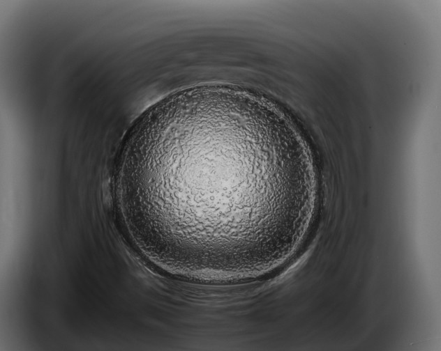 X0000085791497200703231256