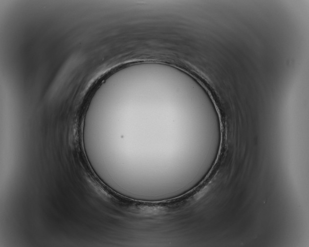 X0000085791498200703231256