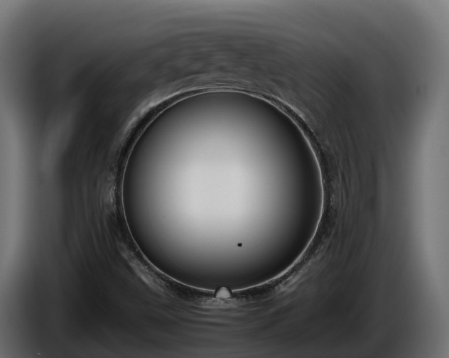 X0000085791499200703231256
