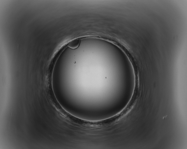 X0000085791501200703231256