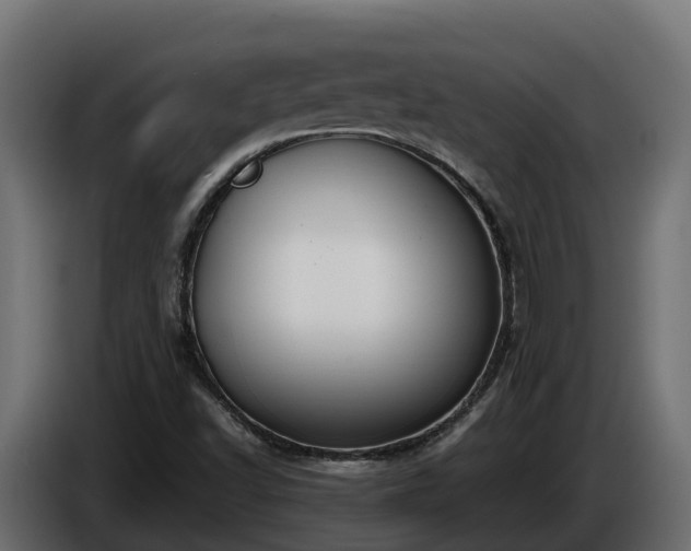 X0000085791502200703231256