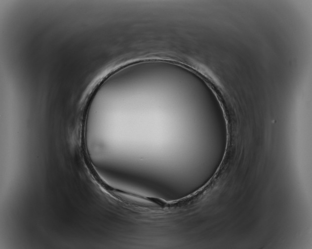 X0000085791504200703231256